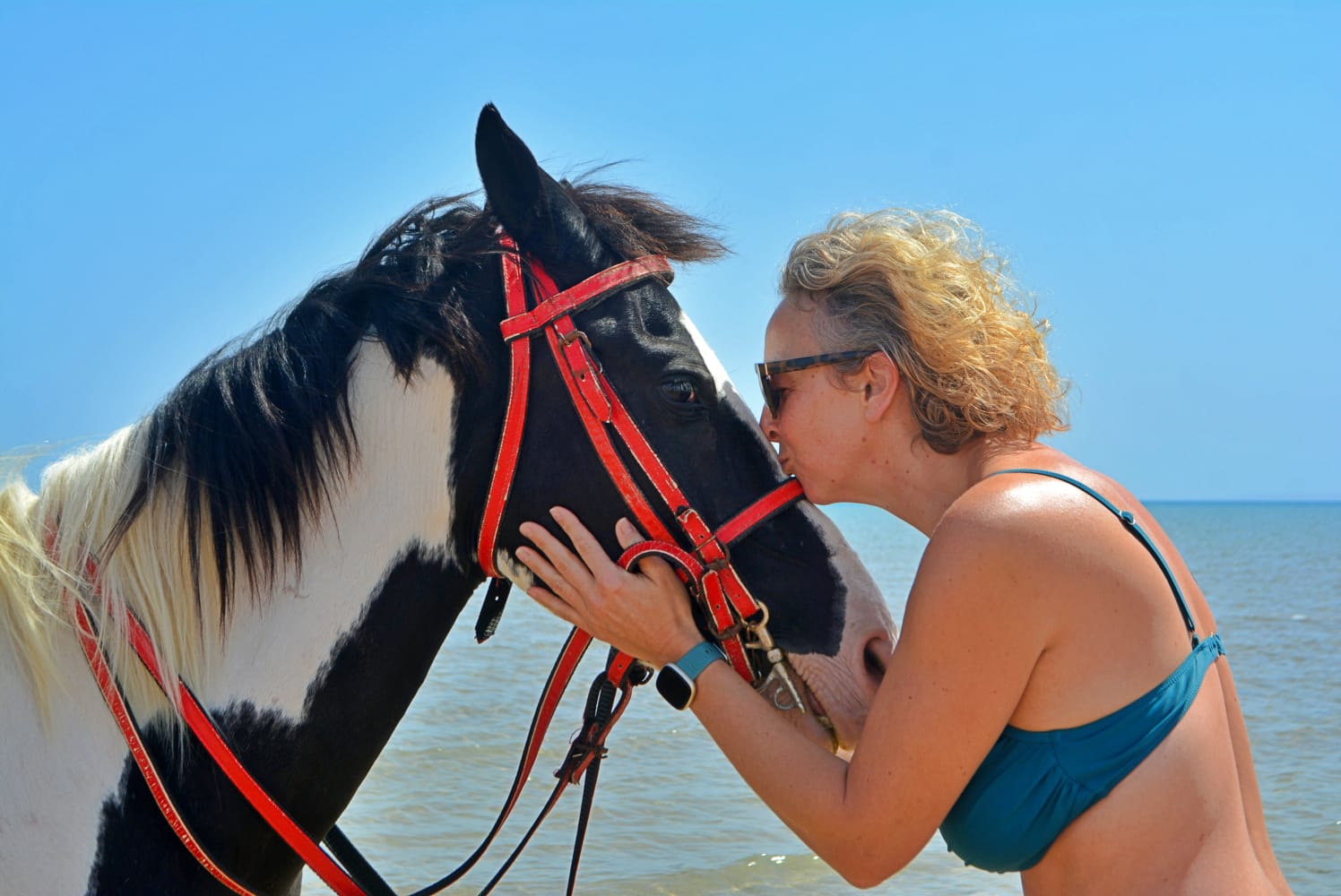 2-Hour Horse Riding : Desert & Beach Experience